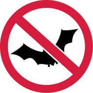 No Bats