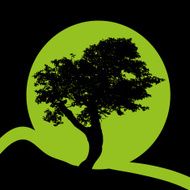 Green Logo N2