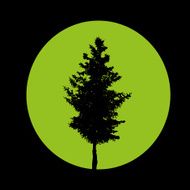 Green Logo N3