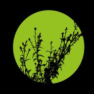Green Logo N4