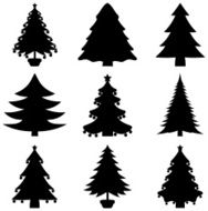 series of decorative fir shadow