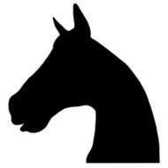 head and neck of horse