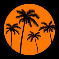 palms and orange sun