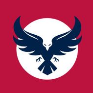 Eagle icon N6