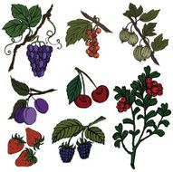 Vector silhouette of different berries N2