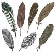vector silhouette of different feathers N3