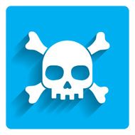 Skull And Crossbones Icon N5