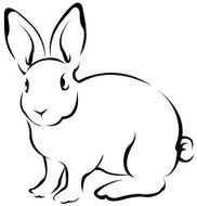 Rabbit N49