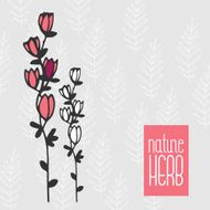 vector nature carg