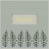 vector nature carg N3