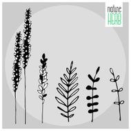 vector nature carg N4