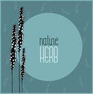 vector nature carg N6