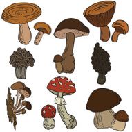 vector illustration silhouettes of mushrooms