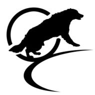 Vector silhouette of a dog N129