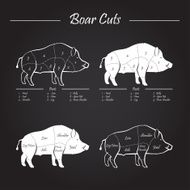 boar meat cut diagram
