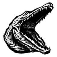alligator crocodile widely slack jaws