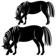 Horse N61