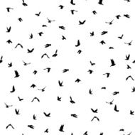 Doves pigeons silhouette seamless pattern white background peace concept