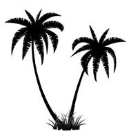 Palm trees silhouette N3