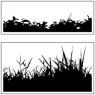 Plant border 02