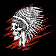 Indian tribal skull with feathers emblem N2