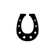Horseshoe illustration N2