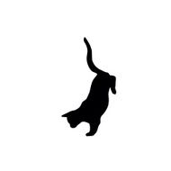 Cat Silhouette N48