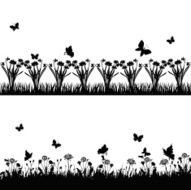 meadows