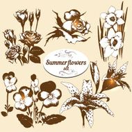 Summer Flowers Set N2