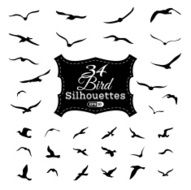 Vector set of bird silhouettes