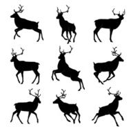 Deers Silhouettes