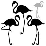Flamingo N12