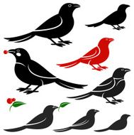 Birds N87