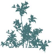 Happy leaves - vector