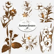 Summer Flowers Set N4