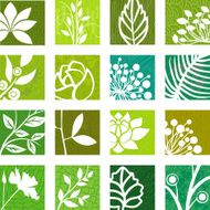 Nature Icons N6