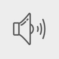 Loudspeaker thin line icon N2