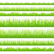 Seamless green grass