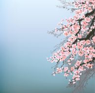 Vector background Blossoming apple branches of an old tree