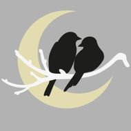 two birds N19
