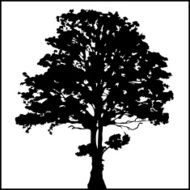 Tree Silhouette 02