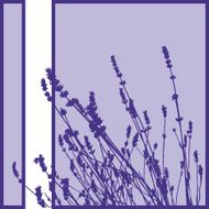 Plant Silhouette N10
