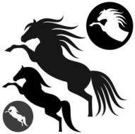 Horse N64
