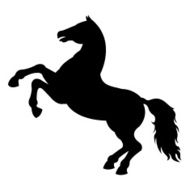 Horse N65