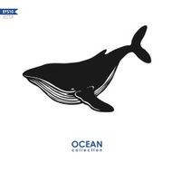 big blue whale