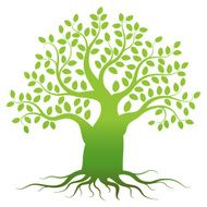 Green tree silhouette