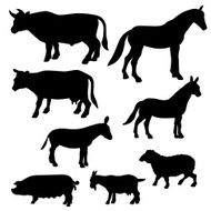 FarmAnimals