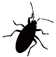 Bug silhouette