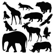 Animals N81