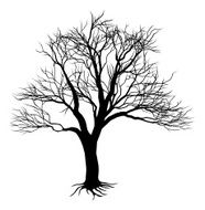 Bare Tree Silhouette N2